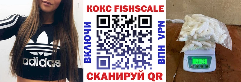 Кокаин FishScale  где купить наркоту  Зарайск 