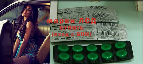 индика Приозерск